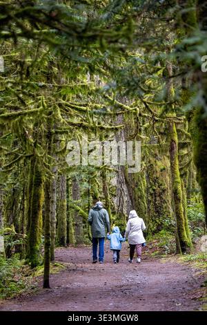 Familienspaziergang auf dem Tod Inlet Trail - Gowlland Tod Provincial Park - in der Nähe von Victoria, British Columbia, Kanada Stockfoto