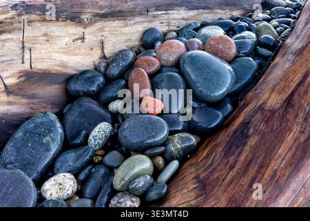 Bunte Felsen zwischen Treibholz - French Beach Provincial Park - in der Nähe von Sooke, Vancouver Island, British Columbia, Kanada Stockfoto