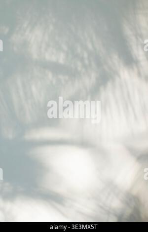 Palmblattschatten an der Wand weicher tropischer minimaler Hintergrund Stockfoto