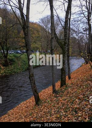 Ein Fluss fließt an einem von Bäumen gesäumten Ufer entlang, das mit gefallenen Blättern bedeckt ist Autos stehen am Straßenrand in der Nähe des Wassers, es ist ein bewölkter Tag in der Stockfoto