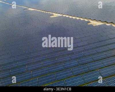 Luftaufnahme einer Solarpaneelfarm mit Sonnenreflexion und Photovoltaikzellen Stockfoto