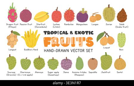 Tropische und exotische Früchte flache Vektor-Illustration im Cartoon Clipart-Stil gesetzt. Pitaya, Passionsfrucht, Sternfrucht, Litschi, Rambutan, Mangostan Stock Vektor