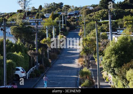 Baldwin Street, die steilste Wohnstraße der Welt, Dunedin, Otago, South Island, Neuseeland. Stockfoto