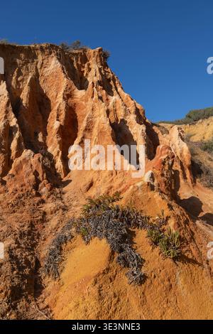 Malerische Landschaft der Algarve in Lagos im Süden Portugals. Stockfoto
