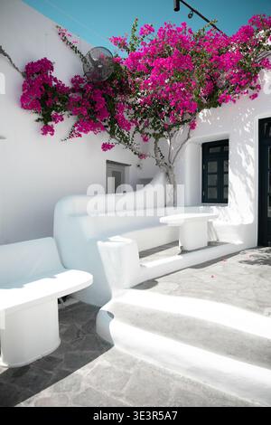 Blick auf die pulsierende magentafarbene Bougainvillea, die über scharf weiße Wände und Stufen in einem sonnendurchfluteten Innenhof kaskadiert, ein markanter Kontrast, Mykonos, Griechenland. Stockfoto