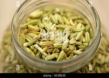 Fenchelsamen im Glas Stockfoto