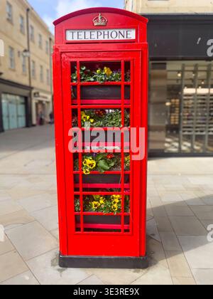 Blumenschmuck in einer ikonischen roten Telefonbox in Bath, Somerset – einst essentiell, heute weitgehend redundant im Zeitalter der Mobiltelefone Stockfoto
