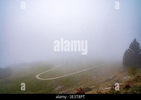 Eine asphaltierte Straße schlängelt sich durch die Almwiesen des Monte Grappa, die teilweise von dickem Morgennebel verborgen sind. Eine einsame Fichte steht auf dem Hügel, cre Stockfoto