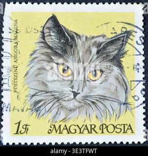 Gestempelte Briefmarke, gedruckt von Ungarn, die Smoky Persian (Felis silvestris catus) zeigt, um 1968. Stockfoto