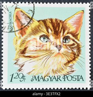 Gestempelte Briefmarke, gedruckt von Ungarn, die Hauskatze (Felis silvestris catus) zeigt, um 1968. Stockfoto