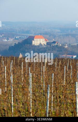 Chateau Dolni Kounice steht auf einem Hügel, umgeben von ruhenden Weinbergen in Tschechien Stockfoto