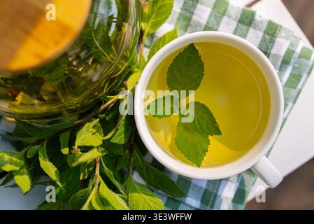 Eine warme Tasse frisch gebrühten, selbst angebauten Minztee liegt auf einem karierten Tuch. Das Getränk ist mit lebhaften Minzblättern garniert und bietet eine einladende und r Stockfoto