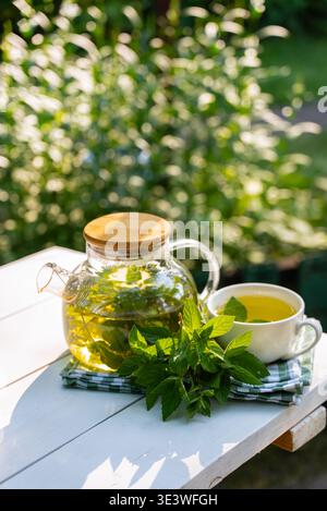 Eine transparente Teekanne mit einem Bambusdeckel ist mit selbst angebautem Minztee gefüllt, der auf einem weißen Tisch platziert wird. In der Nähe werden frische Minzblätter zu einem Dampfbecher begleitet Stockfoto