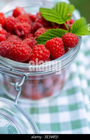 Ein Glasgefäß gefüllt mit leuchtenden roten Himbeeren auf einer grün-weiß karierten Tischdecke. Diese hausgemachten saisonalen Beeren sind perfekt für ihn Stockfoto