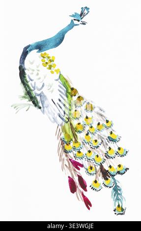 Trainingszeichnung im Suibokuga-Stil mit Aquarellen Pfau auf weißem Papier Stockfoto