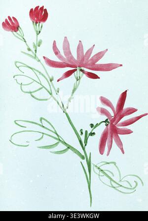 Trainingszeichnung im Suibokuga-Stil mit Aquarellen roten Blumen auf blauem Papier Stockfoto