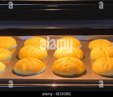 Frisch gebackene, hausgemachte Muffins in Pappbecher auf einem Blech im modernen Ofen Stockfoto