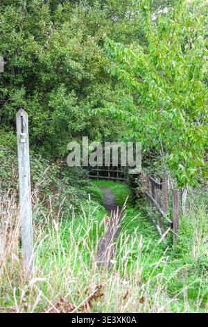 Ein schmaler, unbefestigter Pfad schlängelt sich durch üppiges Grün und hohes Gras und führt zu einem rustikalen Holzzaun, der sich unter einem Baumdach aus Laubbäumen befindet. Stockfoto