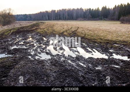 Eine schroffe, sumpfige Piste mit tiefen Reifenspuren und trüben Pfützen, die den düsteren Himmel reflektieren, führt durch ein karges Feld zu einem weit entfernten Baumkreis. Stockfoto