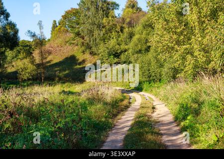 Der gewundene Landweg schlängelt sich durch üppiges grünes Laub und führt über einen sonnigen, baumbewachsenen Hügel. Ein ruhiges, einladendes Outdoor-Abenteuer erwartet Sie Stockfoto