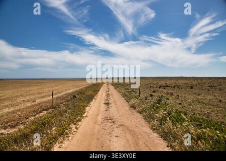 Dirt Trail durch flache Küstenbuschland unter Einem blauen Himmel mit Wispy Clouds Stockfoto