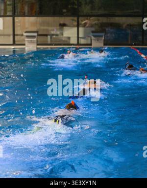 Mehrere Schwimmer trainieren mit Schnorcheln in einem Innenpool. Stockfoto