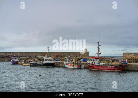 An einem bewölkten Tag liegen in Findochty Harbour Moray Schottland funktionierende Fischerboote vor. Vögel schweben auf dem Wasser und Angelausrüstung liegt auf dem Rubus Stockfoto