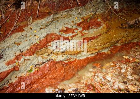 Auffällige, vielschichtige Tonschichten, die in einer Karbonschlucht sichtbar sind und alte geologische Schichten, die von Wasser gewaschen wurden, freilegen. Eine reichhaltige, erdige Palette Stockfoto