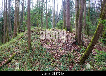 Uralter Grabhügel in einem dicken russischen Wald, bedeckt mit Herbstblättern und üppig grünem Unterholz. Ein mysteriöses, uraltes Wahrzeichen aus slawischem an Stockfoto