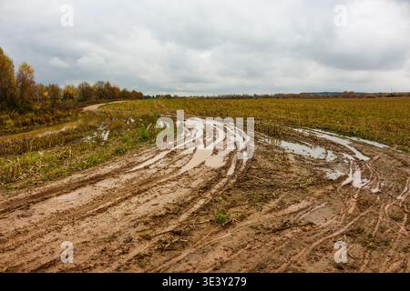 Wilde ländliche Strecke, die von Fahrzeugen aufgewühlt wird, von Regen durchnässt, Winde durch herbstliche Felder. Schlammige Furchen und reflektierende Pfützen dominieren die Szene, was darauf hindeutet Stockfoto