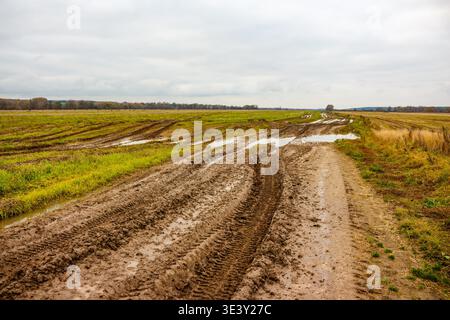 Tiefe Schlamm- und Reifenspuren bilden eine anspruchsvolle Landstraße, die sich durch Felder unter herbstlichem grauem Himmel schlängelt und perfekt für Geländeabenteuer geeignet ist Stockfoto