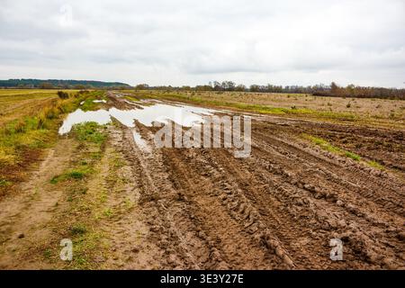Schwierige, schlammige, unbefestigte Straße mit tiefen Spurrillen und Pfützen, die sich durch ländliche Felder unter einem düsteren Herbsthimmel erstrecken, perfekt für Off-Road-Abenteuer Stockfoto