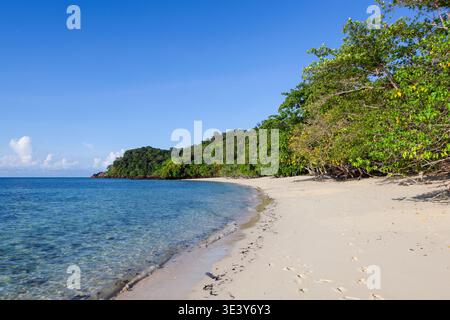 Koh Kradan Strand mit klarem türkisfarbenem Wasser und üppigem Grün. Sandstrand trifft auf dichten tropischen Wald unter einem hellblauen Himmel. Stockfoto