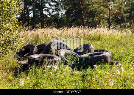 Auf einem schönen, sonnigen, bewachsenen Feld in der Nähe eines Waldes verlassene alte Autoreifen, ein ergreifendes Symbol für Umweltverschmutzung und Vernachlässigung: Russland Stockfoto