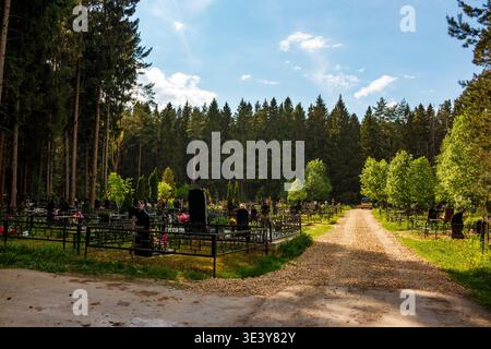 Friedlicher russischer Waldfriedhof mit sonnengeküssten Gräbern und Eisenzäunen. Ein gewundener Schotterweg durch hohe Kiefern unter einem hellblauen Himmel bietet eine Reise Stockfoto