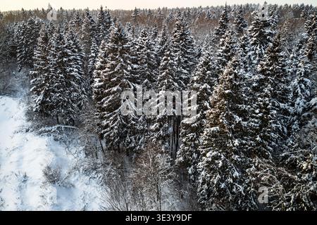 Atemberaubende aussicht aus der Luft auf einen riesigen, schneebedeckten Winterwald. Immergrüne Bäume, stark vereist, glühen warm unter der sanften Abendsonne. Pur, ruhig W Stockfoto