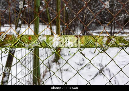 Verwitterter Maschendrahtzaun mit leuchtend grünem Moos und Rost, verziert mit Wintereis- und Schneeflocken Stockfoto