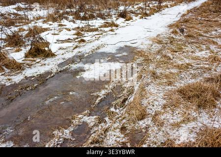 Eisiger, schlammiger Pfad neben auftauendem Wintergras erzeugt während der Übergangszeit eine natürliche abstrakte Komposition Stockfoto