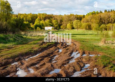 Tiefe, schlammige Feldstraße mit Reifenspuren, die zu einem kleinen Gebäude inmitten von lebhaftem Frühlingsgrün und sonnendurchflutetem Wald führen Stockfoto