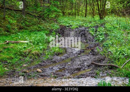 Tief verrutschte Schlammpfade mit stehendem Wasser durchquert üppig grüne Frühlingswälder, die zu einem flachen Bach führen Stockfoto