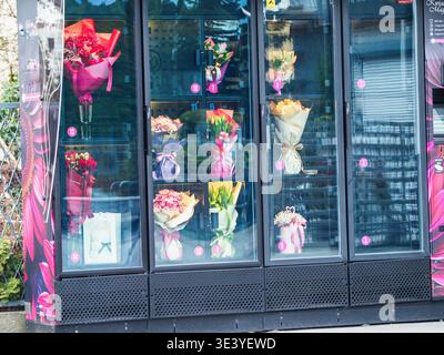 Das Glasetui bietet Platz für farbenfrohe Blumenarrangements. Helle Sträuße stehen in organisierten Reihen. Jeder Blumenstrauß ist in leuchtendes Papier gewickelt. Regale zeigen va an Stockfoto