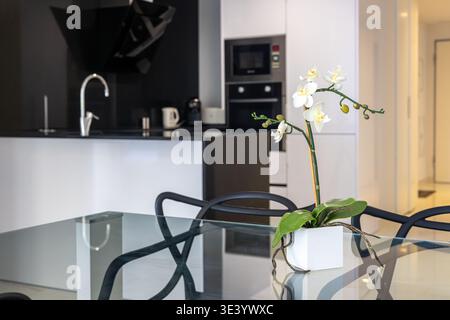 Stilvoller Essbereich mit Glastisch, Orchideen-Herzstück und moderner Küche mit eingebauten Geräten in einer sauberen Inneneinrichtung Stockfoto