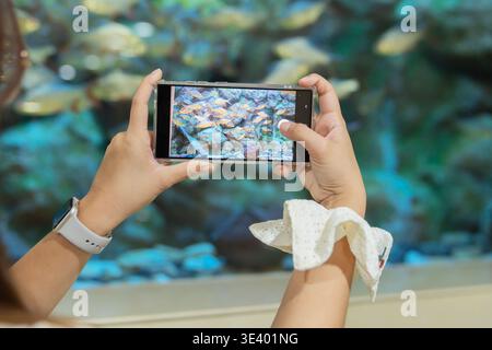 Touristenfrau, die ein Foto oder ein Video von Fischen in einem Aquarium macht. Nahaufnahme, selektiver Fokus. Stockfoto