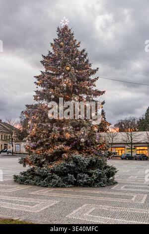 Weihnachtsbaum am Kupkovo namesti-Platz in Opocno, Tschechien Stockfoto