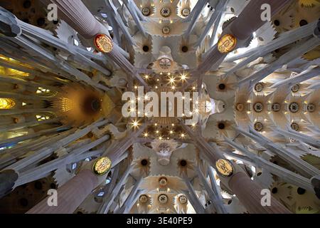 Sagrada Familia Decke Stockfoto