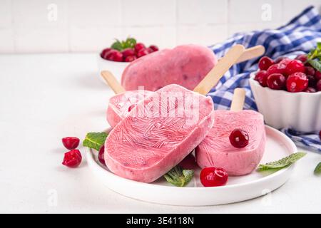 Cranberry süßes Eis, gefrorene Sorbetlollypops mit Joghurt und Beeren, auf weißer Platte, mit frischen Cranberry und Minzblättern Stockfoto