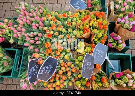 Heidelberg, Deutschland - 19. März 2026: Bunte Tulpenblumensträuße zum Verkauf Stockfoto