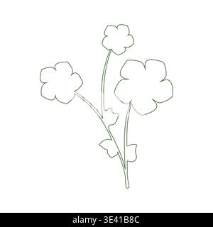 Eine einfache Strichzeichnung zeigt drei zarte Blüten auf schlanken Stielen. Jede Blüte hat fünf weiche Blütenblätter. Stock Vektor