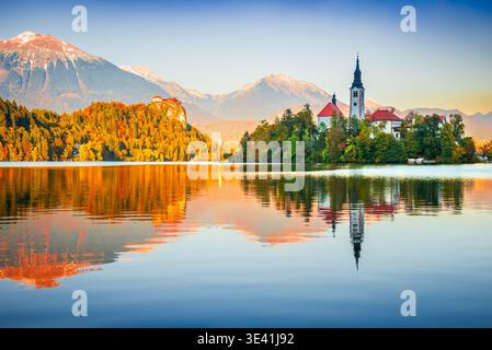 Bled, Slowenien. Sonnenaufgang Wasserspiegelung auf dem legendären Bleder See, Herbstfarben. Stockfoto