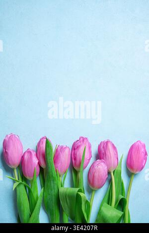 Pinkfarbene Tulpen auf blauem pastellfarbenem Hintergrund, flache Lay, Kopierraum. Frühlingsmockup mit Blumenmotiv für Grußkarten oder Einladungen. Stockfoto